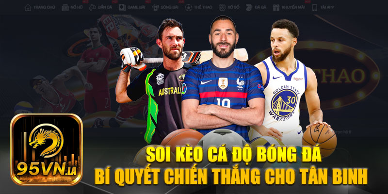 soi kèo cá độ bóng đá